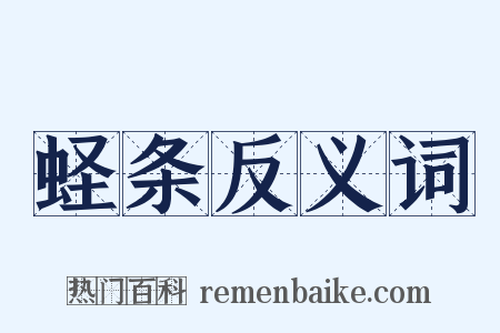 蛏条反义词是什么意思的图片